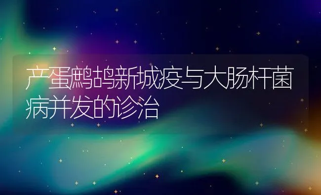 产蛋鹧鸪新城疫与大肠杆菌病并发的诊治 | 水产养殖知识