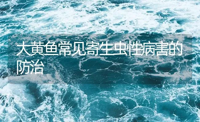 大黄鱼常见寄生虫性病害的防治 | 海水养殖技术