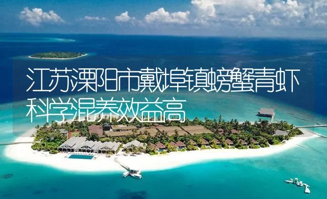 江苏溧阳市戴埠镇螃蟹青虾科学混养效益高 | 海水养殖技术