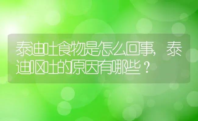 泰迪吐食物是怎么回事,泰迪呕吐的原因有哪些？ | 宠物百科知识