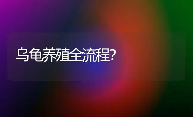 下司犬跑得有多快？ | 动物养殖问答