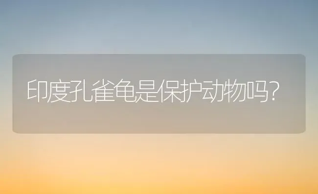 九个月的公德牧还长吗？ | 动物养殖问答