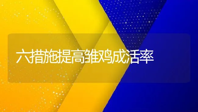 六措施提高雏鸡成活率 | 动物养殖饲料