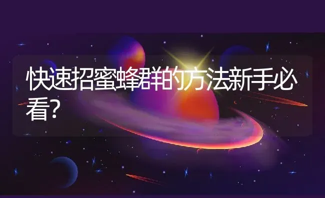 快速招蜜蜂群的方法新手必看？ | 动物养殖百科