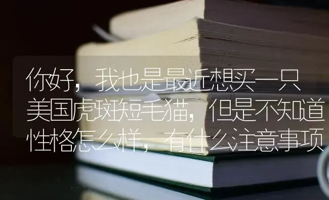 你好，我也是最近想买一只美国虎斑短毛猫，但是不知道性格怎么样，有什么注意事项吗?我也不知道大概价格？ | 动物养殖问答