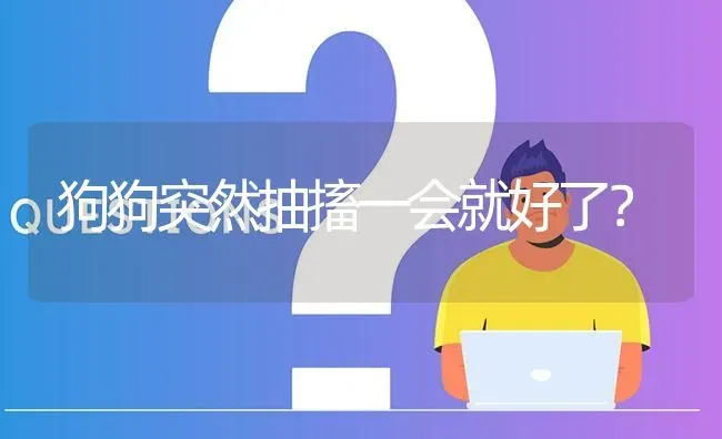 狗狗突然抽搐一会就好了？ | 动物养殖问答