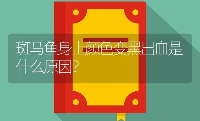 斑马鱼身上颜色变黑出血是什么原因？ | 鱼类宠物饲养