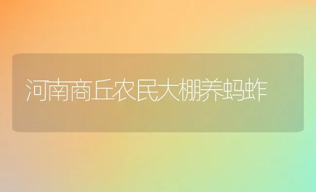 河南商丘农民大棚养蚂蚱 | 动物养殖百科