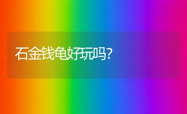 布偶猫多少斤才能长胖？ | 动物养殖问答