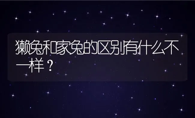 獭兔和家兔的区别有什么不一样？ | 动物养殖百科