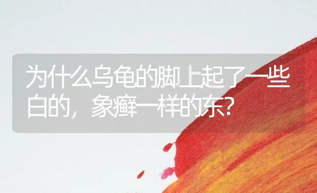 为什么乌龟的脚上起了一些白的，象癣一样的东？ | 动物养殖问答