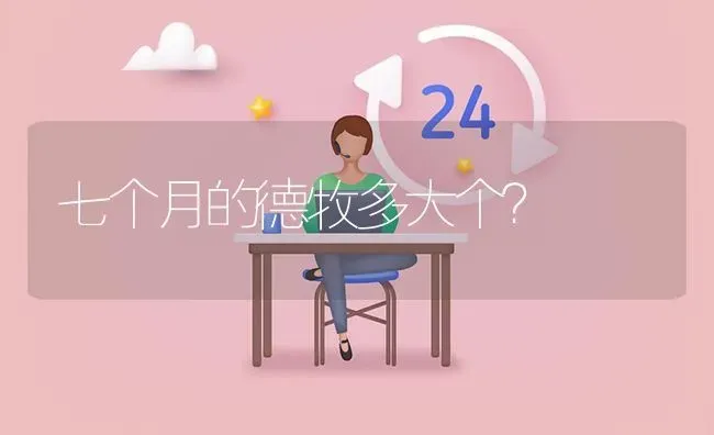 七个月的德牧多大个？ | 动物养殖问答