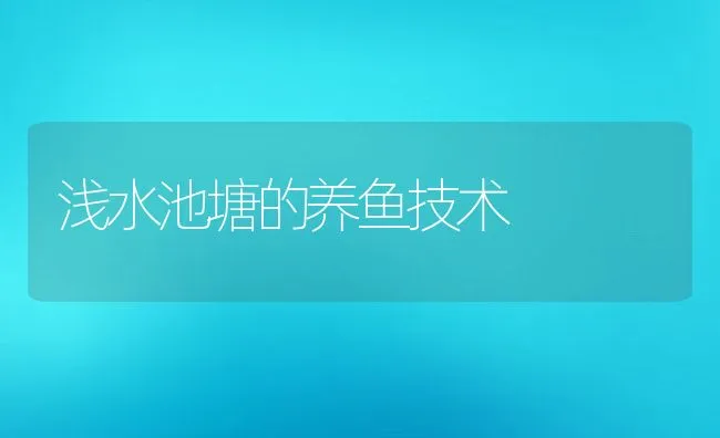 优良赛鸽的鉴别技巧 | 水产养殖知识