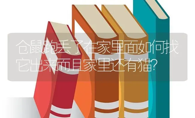 仓鼠跑丢了在家里面如何找它出来而且家里还有猫？ | 动物养殖问答