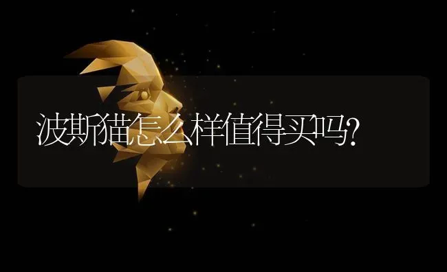 银渐层成年猫值得养吗？ | 动物养殖问答