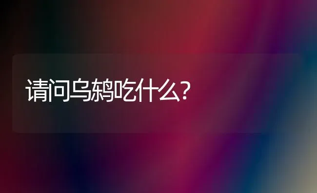 请问乌鸫吃什么？ | 动物养殖问答