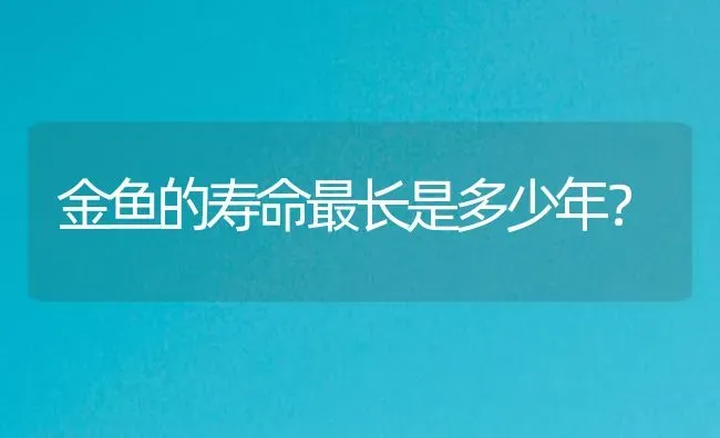 金鱼的寿命最长是多少年？ | 鱼类宠物饲养