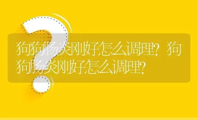 狗狗肠炎刚好怎么调理？狗狗肠炎刚好怎么调理？ | 动物养殖问答