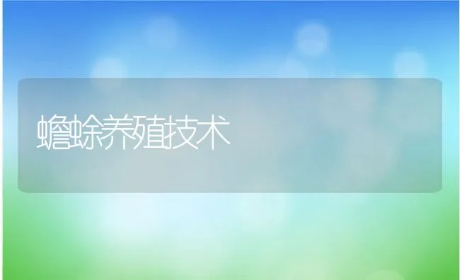 蟾蜍养殖技术 | 动物养殖学堂