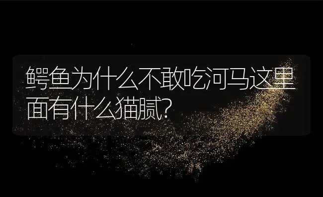 鳄鱼为什么不敢吃河马这里面有什么猫腻？ | 动物养殖百科