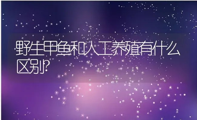 野生甲鱼和人工养殖有什么区别? | 动物养殖百科