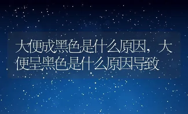 大便成黑色是什么原因,大便呈黑色是什么原因导致 | 宠物百科知识