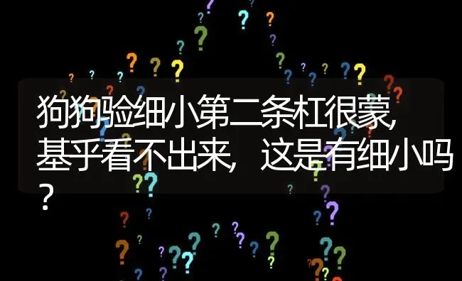 狗狗验细小第二条杠很蒙,基乎看不出来,这是有细小吗？ | 动物养殖问答