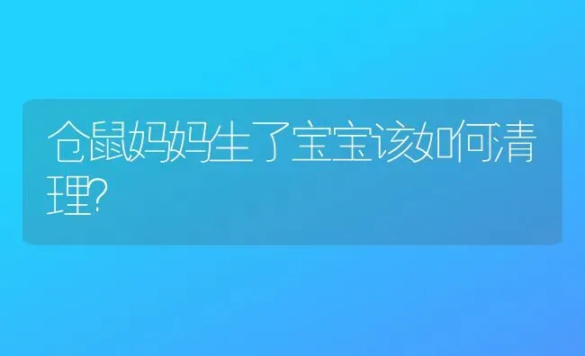 仓鼠妈妈生了宝宝该如何清理？ | 动物养殖问答