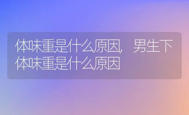 体味重是什么原因,男生下体味重是什么原因 | 宠物百科知识