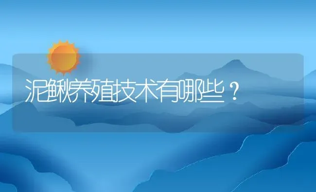 泥鳅养殖技术有哪些？ | 动物养殖百科