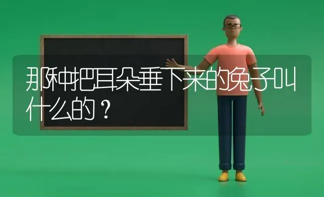 罗威纳犬特性罗威纳犬的个性及外形特点？ | 动物养殖问答