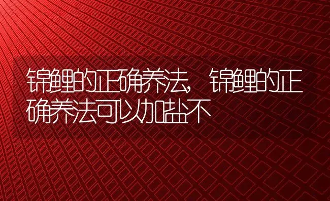 锦鲤的正确养法,锦鲤的正确养法可以加盐不 | 宠物百科知识