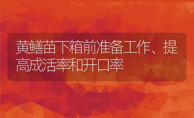 黄鳝苗下箱前准备工作、提高成活率和开口率 | 动物养殖教程