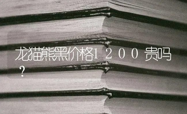 狗狗生产完可是肚子里面还有一个死胎不生了怎么办？ | 动物养殖问答