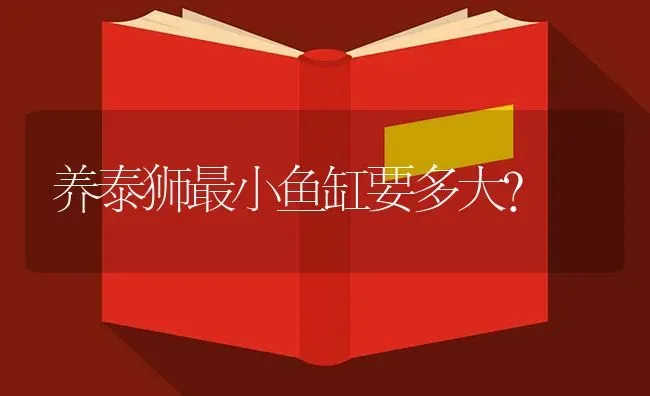 养泰狮最小鱼缸要多大？ | 鱼类宠物饲养