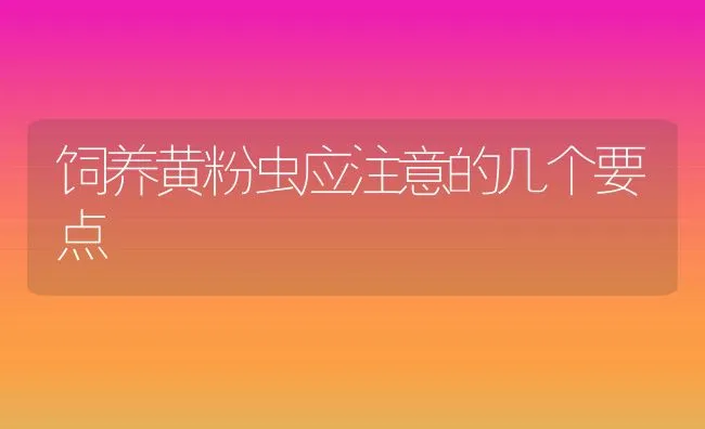 饲养黄粉虫应注意的几个要点 | 水产养殖知识