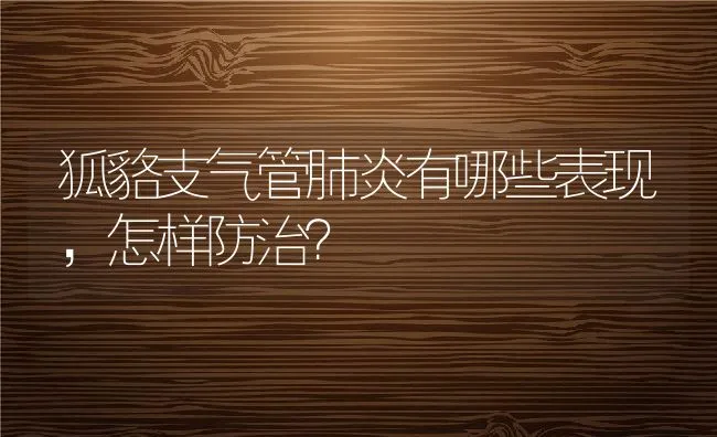 狐貉支气管肺炎有哪些表现，怎样防治？ | 水产养殖知识