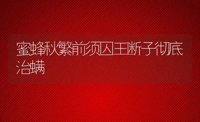 蜜蜂秋繁前须囚王断子彻底治螨 | 动物养殖教程