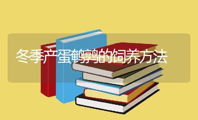 冬季产蛋鹌鹑的饲养方法 | 动物养殖学堂