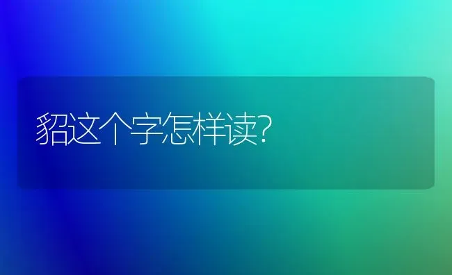 貂这个字怎样读？ | 动物养殖问答