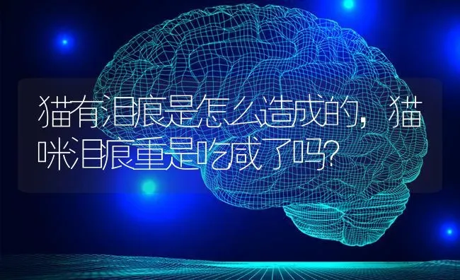 猫有泪痕是怎么造成的，猫咪泪痕重是吃咸了吗？ | 动物养殖问答