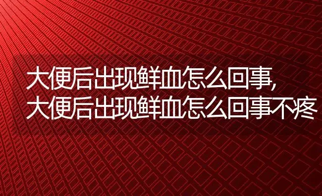 大便后出现鲜血怎么回事,大便后出现鲜血怎么回事不疼 | 宠物百科知识