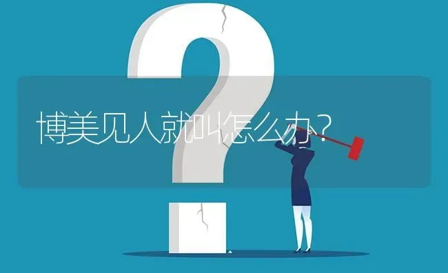 博美见人就叫怎么办？ | 动物养殖问答