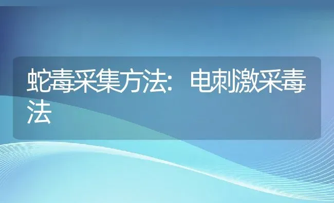 蛇毒采集方法:电刺激采毒法 | 动物养殖百科