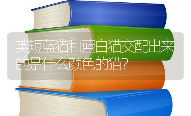 英短蓝猫和蓝白猫交配出来的是什么颜色的猫？ | 动物养殖问答