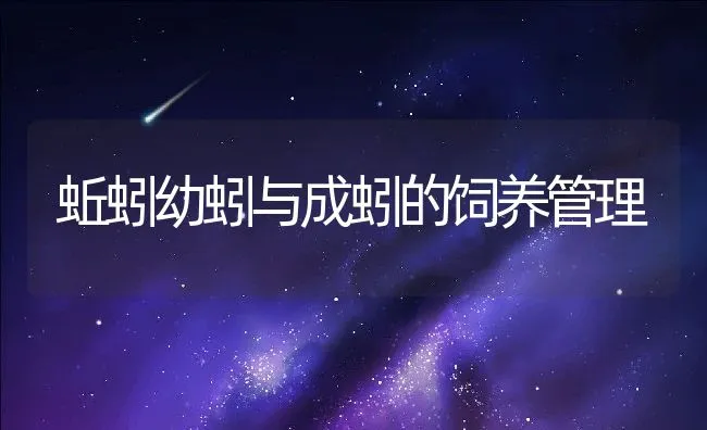 对虾、青蟹、螠蛏混养技术 | 海水养殖技术