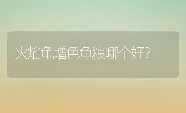 火焰龟增色龟粮哪个好？ | 动物养殖问答