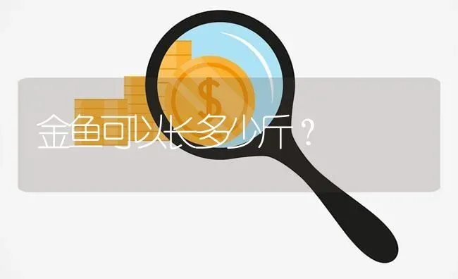 金鱼可以长多少斤？ | 鱼类宠物饲养