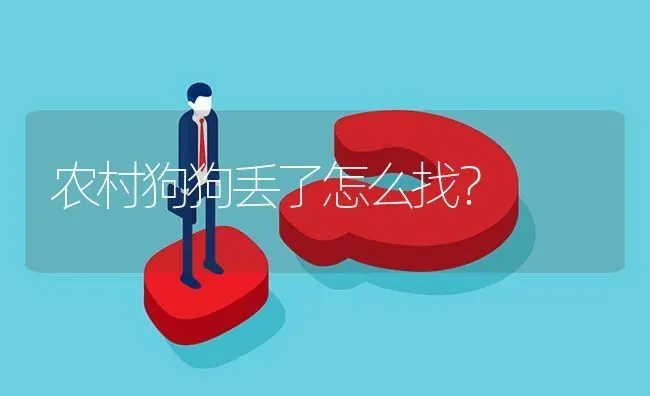 农村狗狗丢了怎么找？ | 动物养殖问答