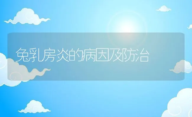 兔乳房炎的病因及防治 | 水产养殖知识